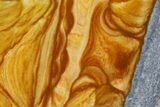 Polished Golden Picture Jasper Slice - Nevada #168358-2